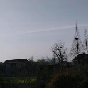 用户5595931882926头像