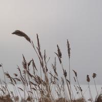 安徐正静0512头像