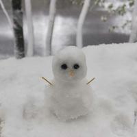 钱包已阵亡头像