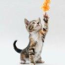 ZY的个人资料头像