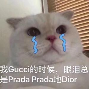 暑升WMZ头像