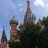 好想到处去游浪头像