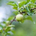 花开花落花飞去头像