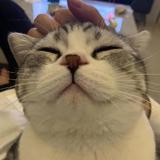 tillandfan头像