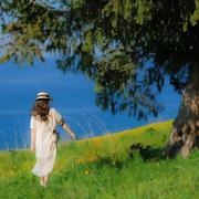 Hello的个人资料头像