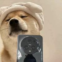 6抱走沈幼楚9头像