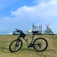 洛圣都不养闲人头像