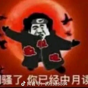 孑禄头像