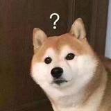 该用户已成仙头像