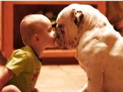 itmyhome的个人资料头像