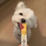 超凶丶小奶喵头像