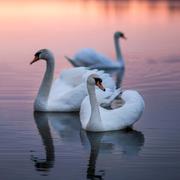 赵尚军的个人资料头像