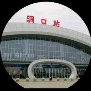 家电助手小龙头像