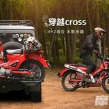 2020lTBYY头像