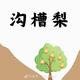 一家之猪977头像