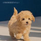 用户9835845150303头像