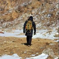 附近有蘑菇头像