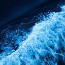 suiteki的个人资料头像