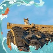 在山之南的个人资料头像