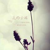 梁官琦头像