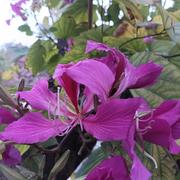 小幸运952的个人资料头像