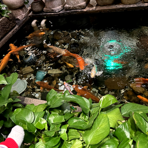 一妈爱看剧头像