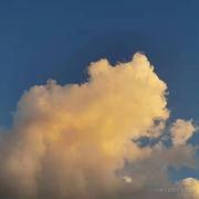 CornCarrots的个人资料头像