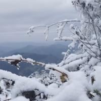 画影江山头像