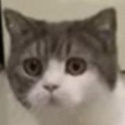 kitty_Happy的个人资料头像