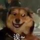 佛系玩家OL · 元PLUS车主·车龄1年头像