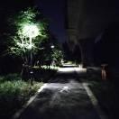 熊弟弟的个人资料头像