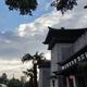 自由的芒果FUP头像