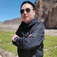 熊大新能源汽车头像