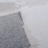 悠闲沙漠小草头像