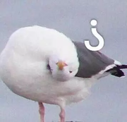 foyoo的个人资料头像