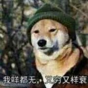 有理有锯的个人资料头像