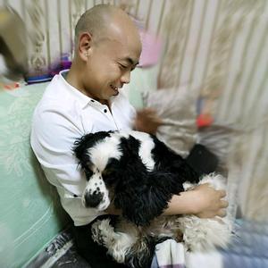 惹尘埃呢头像