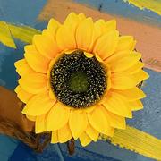 Zhouyu的个人资料头像