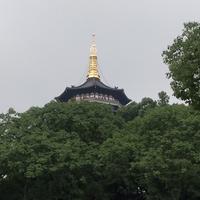 用户6553769860036头像