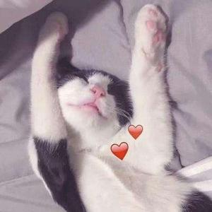 如意爆笑工坊头像