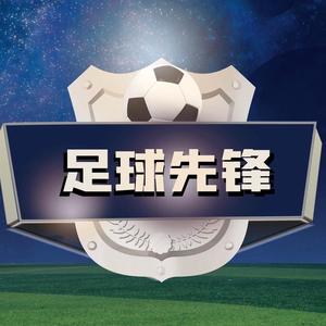 足球先锋⚽️头像