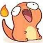 科南785的个人资料头像