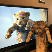 石筠的个人资料头像