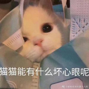 小皇丶头像
