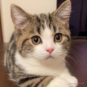 嘟区的个人资料头像