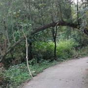 夷则戌的个人资料头像