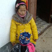 freeser的个人资料头像