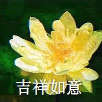 花开富贵42235头像