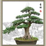 一路平安300头像