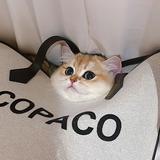 或者7269头像